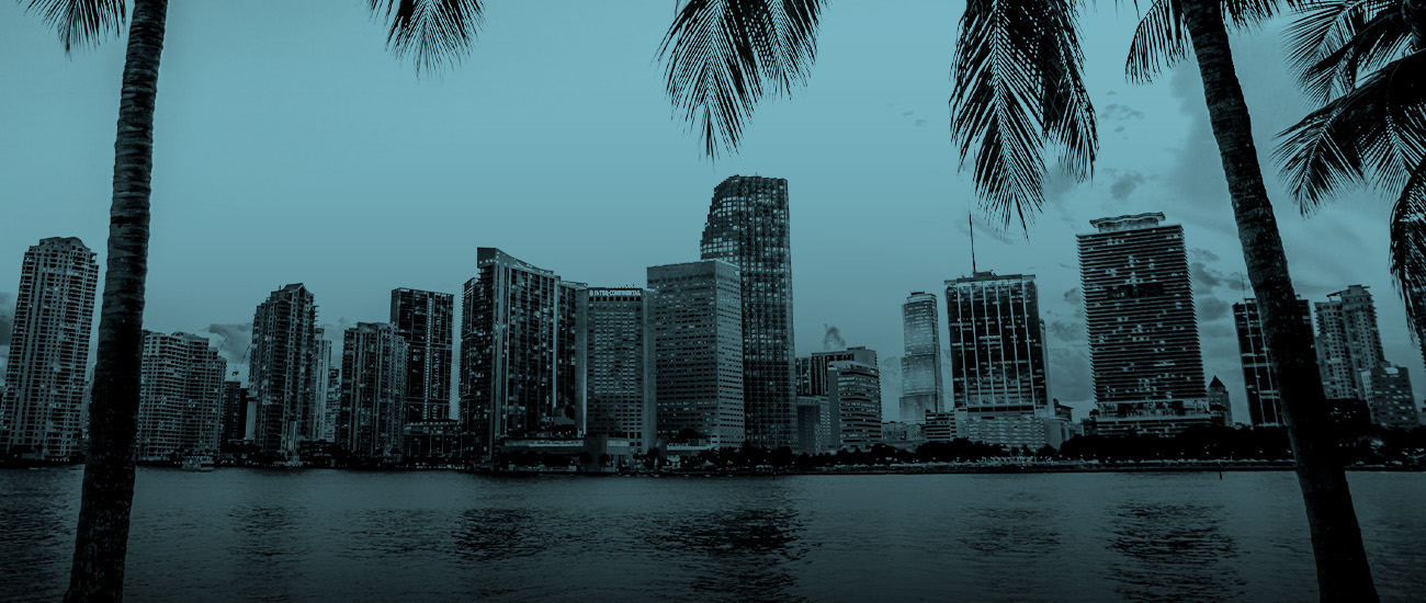 A city skyline featuring tall buildings, with palm trees prominently displayed in the foreground.